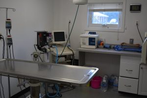 A veterinary office for dental procedures