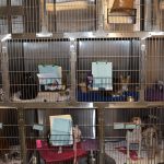 Dog and cat kennels